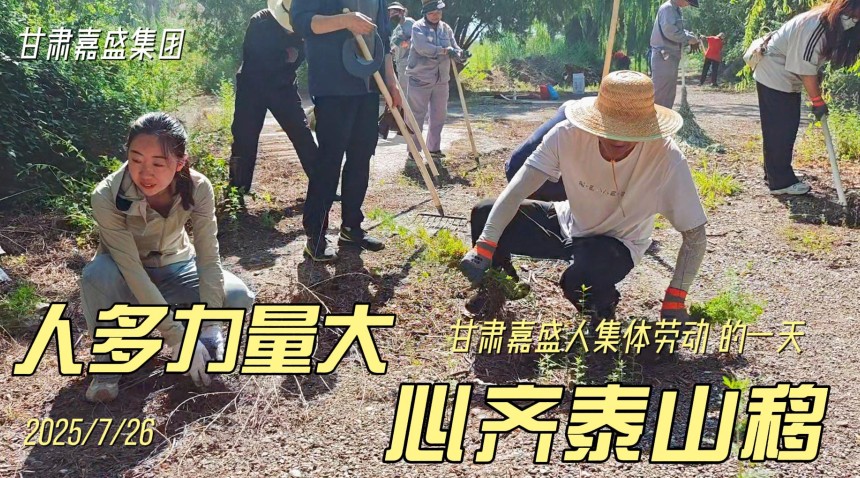 記錄嘉盛員工的一天——員工義務勞動側記